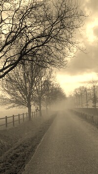 Szary + Sepia