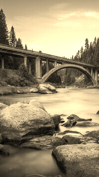 Sepia