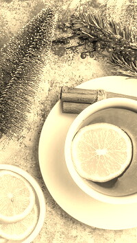 Szary + Sepia