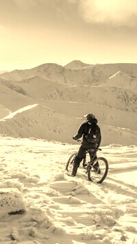 Szary + Sepia