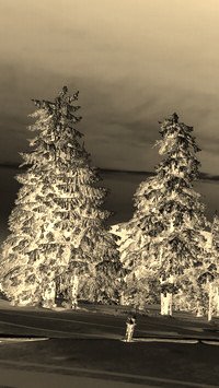 Sepia + Negatyw