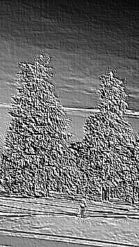 Skamielina
