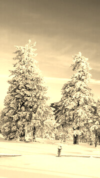 Szary + Sepia