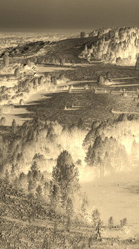 Sepia + Negatyw
