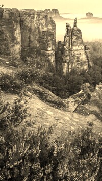 Sepia