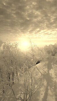 Szary + Sepia