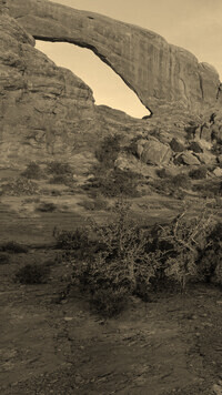 Sepia