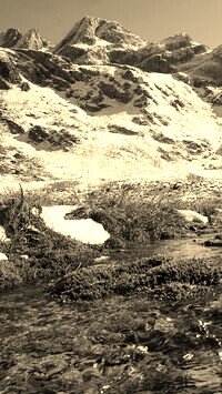 Szary + Sepia