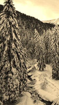 Sepia