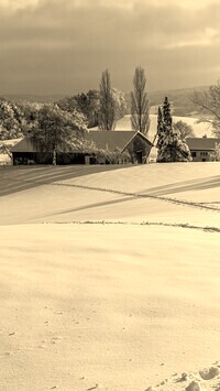 Sepia