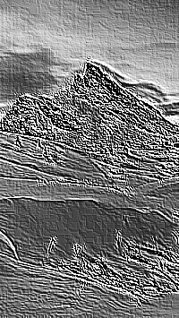 Skamielina