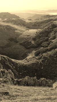 Szary + Sepia