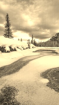 Szary + Sepia