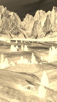 Sepia + Negatyw