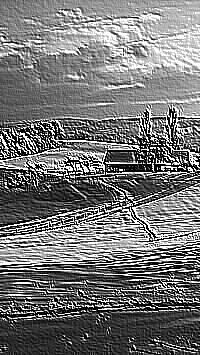 Skamielina