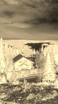 Sepia + Negatyw