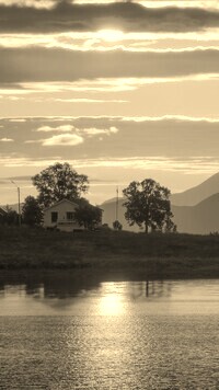 Sepia