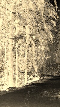 Sepia + Negatyw