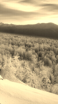 Szary + Sepia
