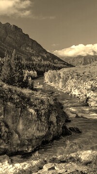 Sepia