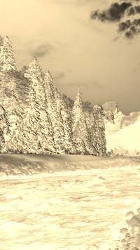 Sepia + Negatyw