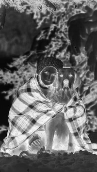 Szary + Negatyw
