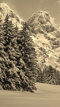 Szary + Sepia
