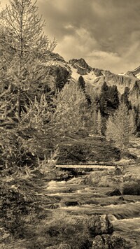 Szary + Sepia