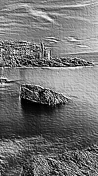 Skamielina