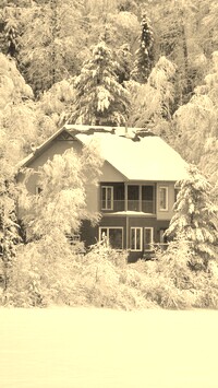 Sepia