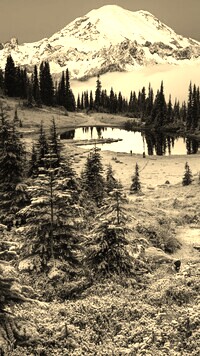 Sepia