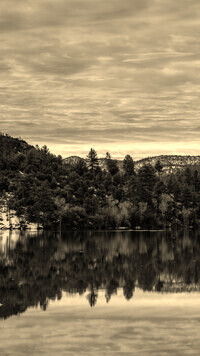Szary + Sepia
