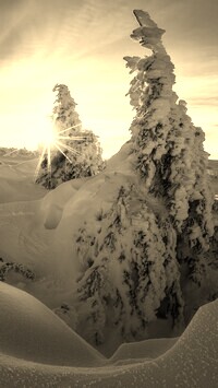 Sepia