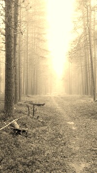 Szary + Sepia