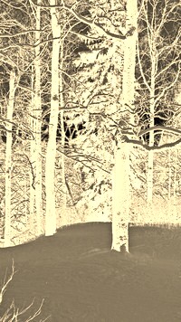 Sepia + Negatyw