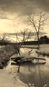 Sepia