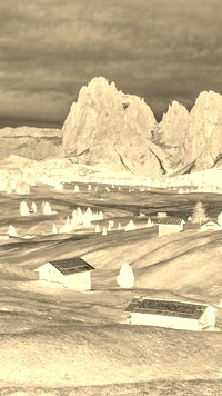 Sepia + Negatyw