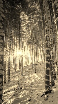 Sepia