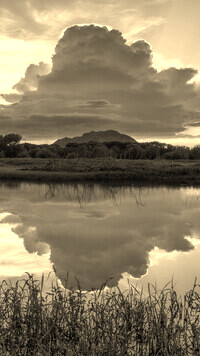 Szary + Sepia