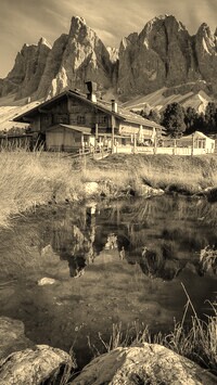 Szary + Sepia