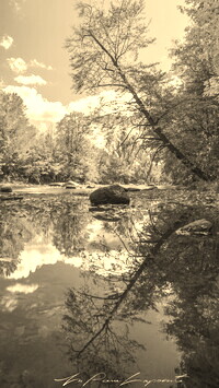 Sepia