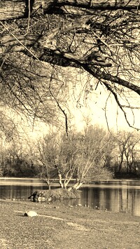 Szary + Sepia