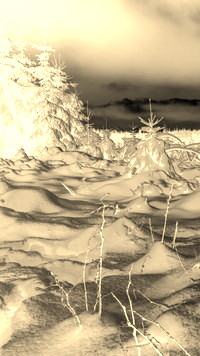 Sepia + Negatyw