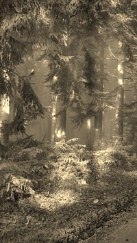 Sepia