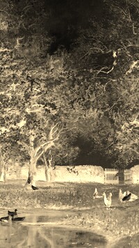 Sepia + Negatyw