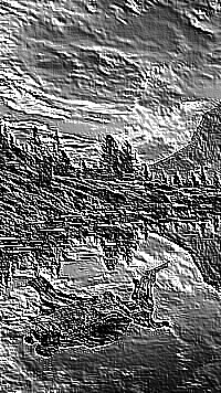 Skamielina
