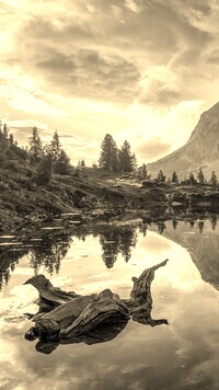 Szary + Sepia