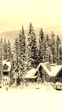Szary + Sepia