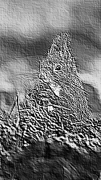 Skamielina