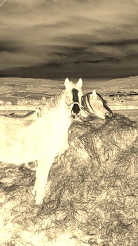 Sepia + Negatyw